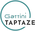 gattini logo